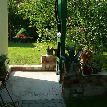 Csecsi Ueduelo Замарди