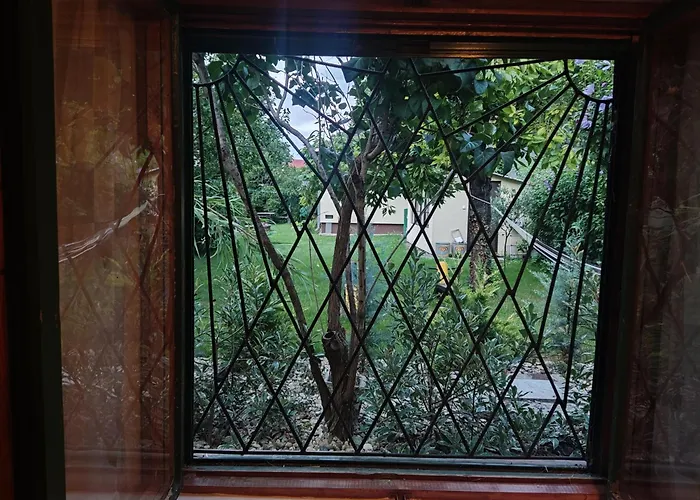 Csecsi Ueduelo * Zamárdi