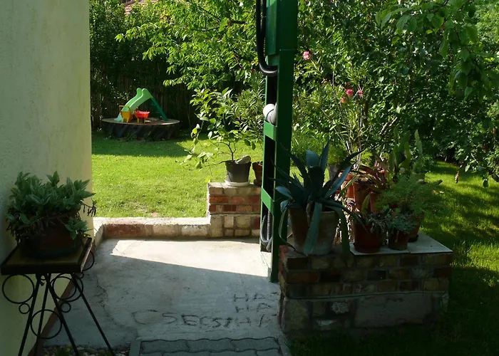 Csecsi Ueduelo Zamárdi