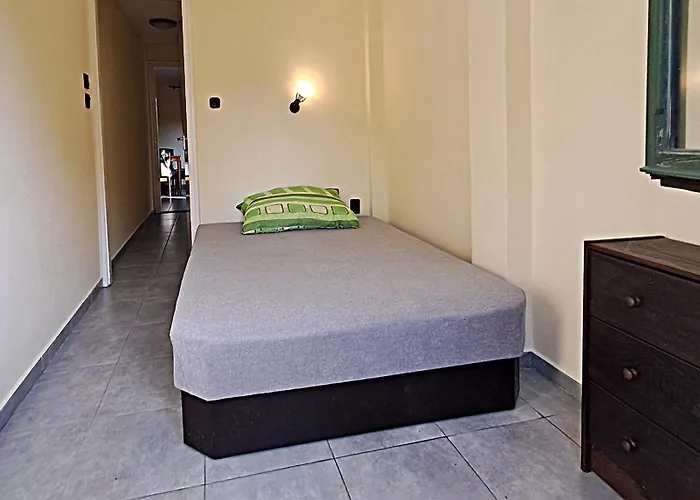 Csecsi Ueduelo Zamárdi