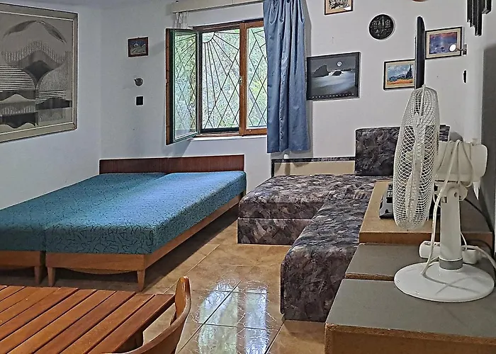 Csecsi Ueduelo 別荘 Zamárdi